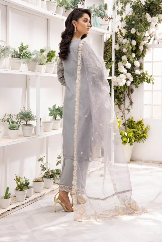 Grey 'Noor' Organza Ladies Suit