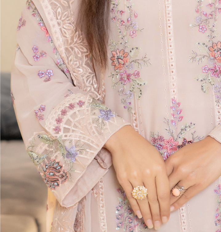 Nude Munira Designer Chiffon Ladies Suit