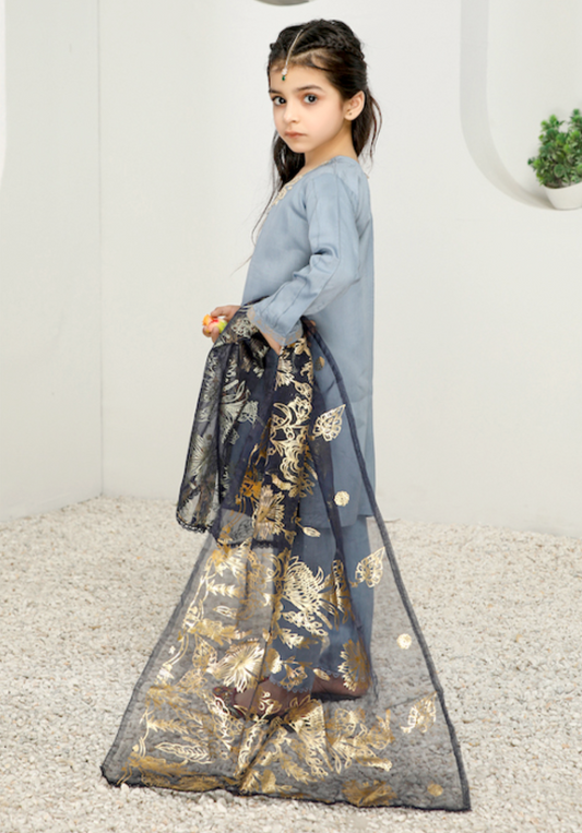 Light Blue Rangoli Viscose Girls Suit