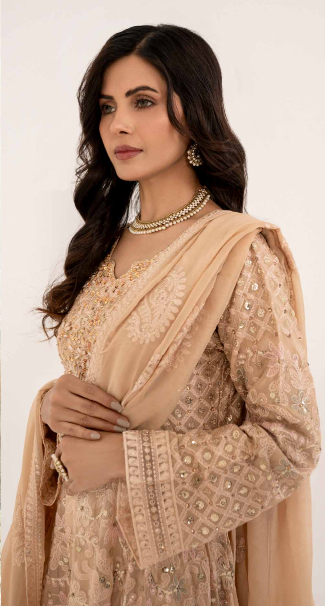 Dusty Beige Gold 'Satrangi' Luxury Chiffon Ladies Suit