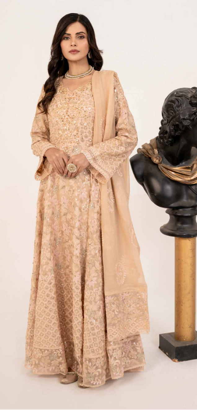 Dusty Beige Gold 'Satrangi' Luxury Chiffon Ladies Suit