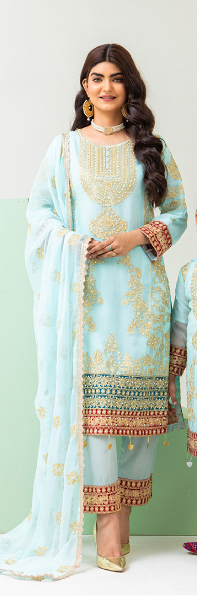 Light Teal Blue 'Roshni' Chiffon Ladies Suit