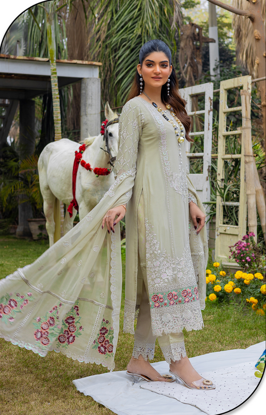 Olive Grey 'Andaaz' Chiffon Ladies Suit